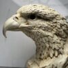 Regal Eagle Head Sculpture - Image 4