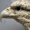 Regal Eagle Head Sculpture - Image 5